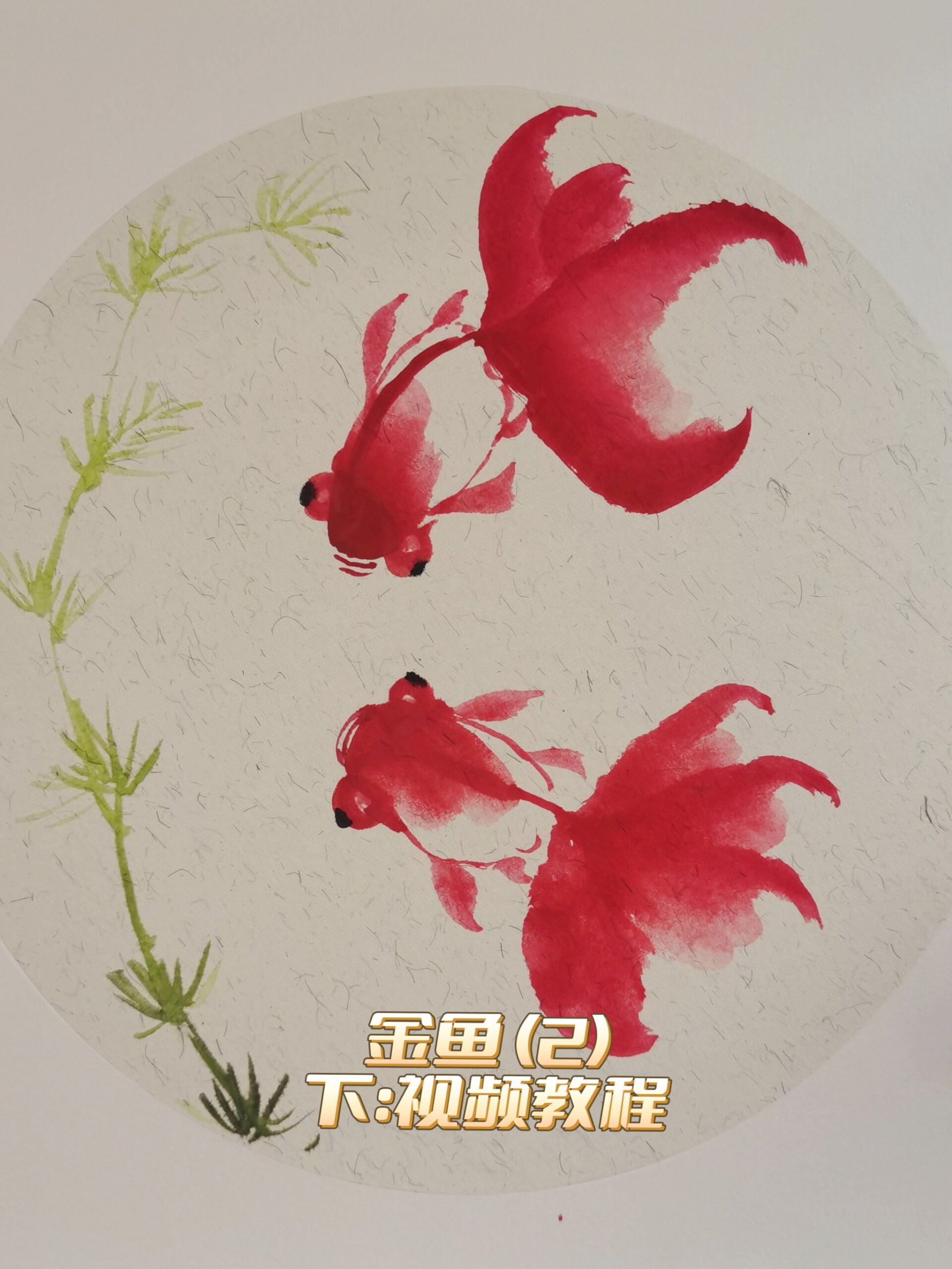 金鱼国画教学