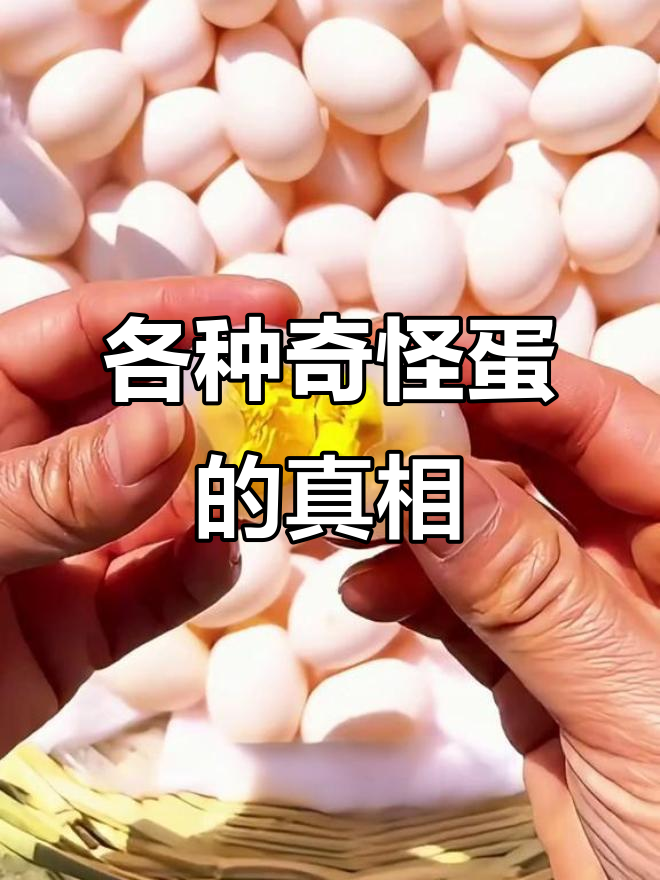 这些蛋能吃吗?从娃娃鱼到臭虫,看看你能吃哪种