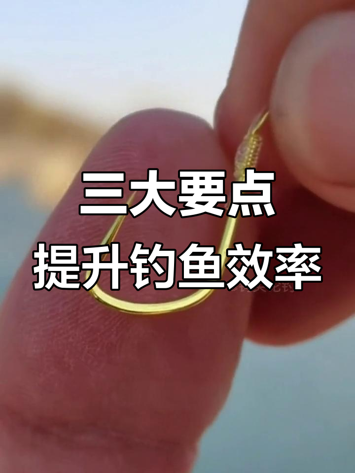 钓鲢鳙必备三大鱼钩技巧，轻松提高中鱼率