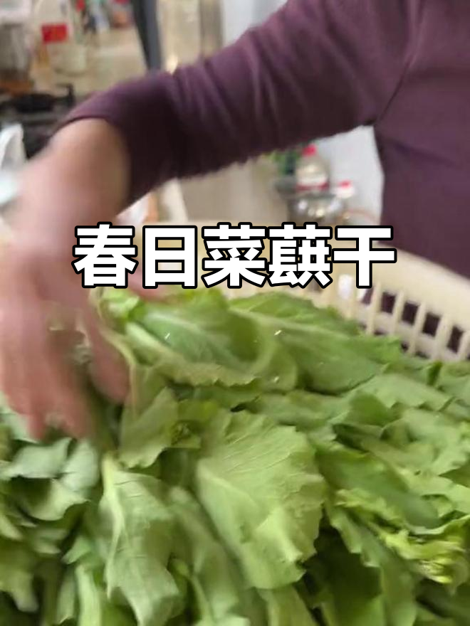 浙江春季美味,菜蕻干晒出乡村生活