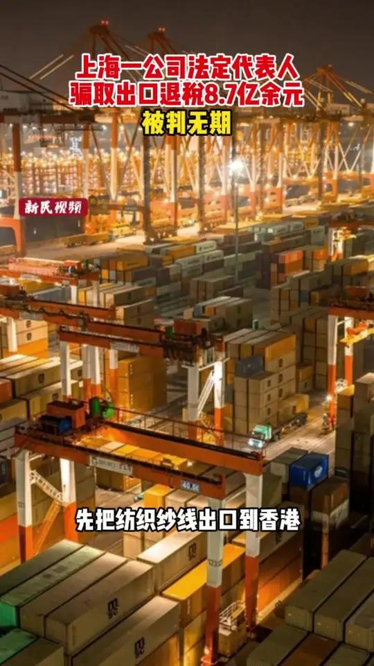 上海一公司法定代表人，骗取国家出口退税款共计8.7亿余元，被判无期徒刑