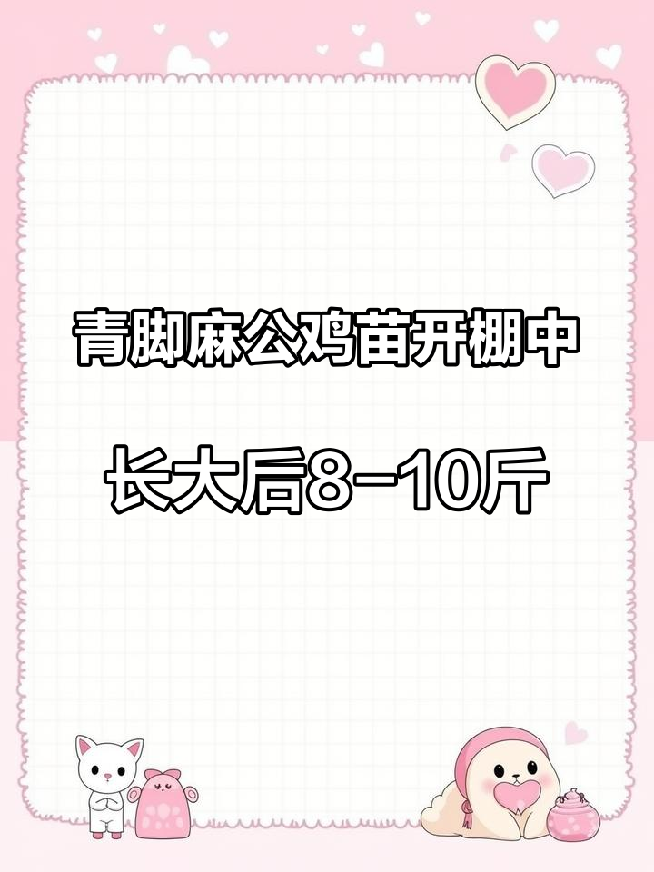 青脚麻公鸡苗开棚中,长大后8-10斤大红公鸡 支持三农扶持三农发展 优质鸡苗 大红公鸡 质
