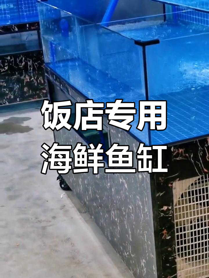 中小型海鲜鱼缸设计,适合饭店使用