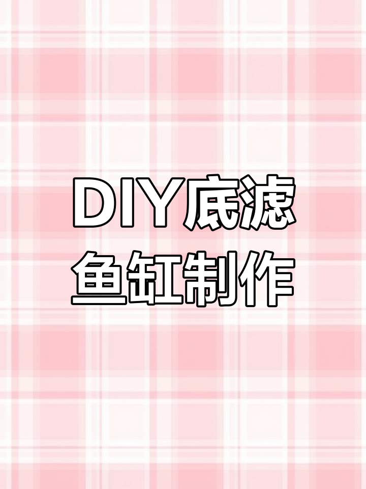 手工DIY底滤鱼缸,打造个性化虹吸系统