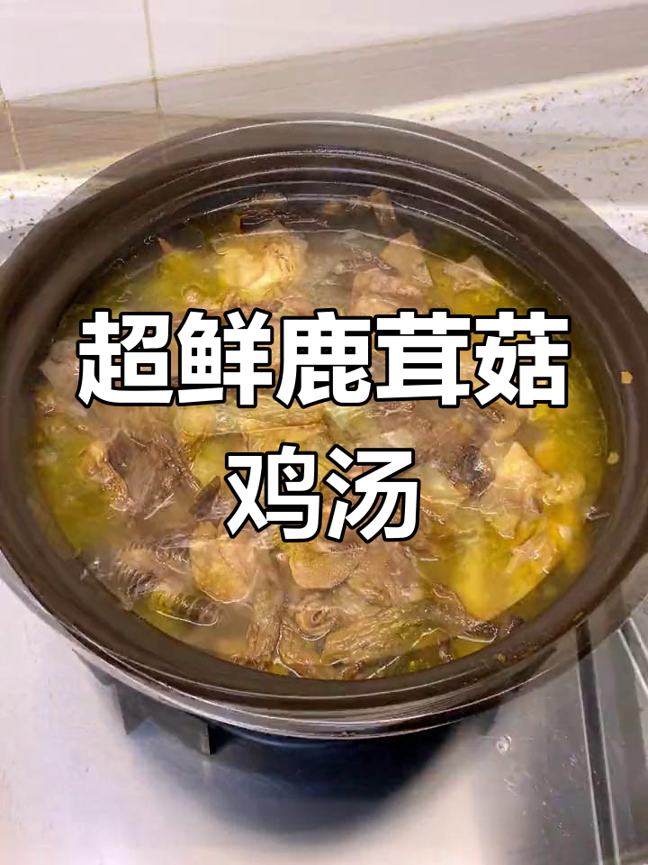 鹿茸菇炖鸡,鸡汤鲜美至极
