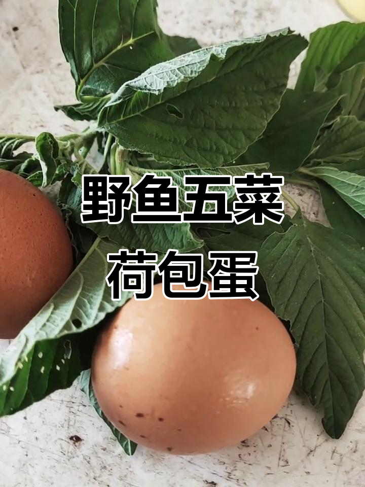 野苋菜荷包蛋汤,轻松缓解膝盖疼痛