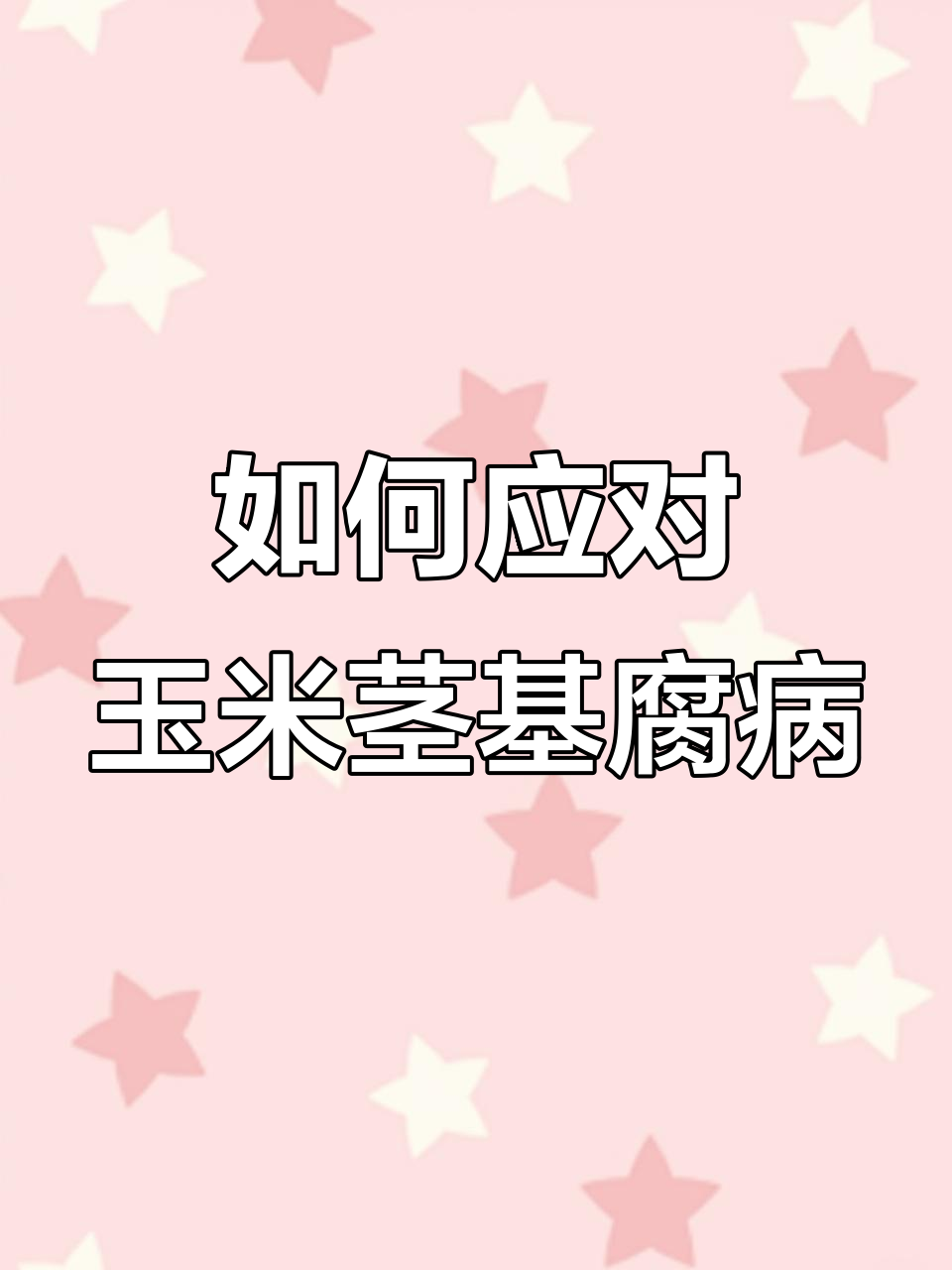 玉米细菌性茎基腐病防治技巧,如何避免病害扩散