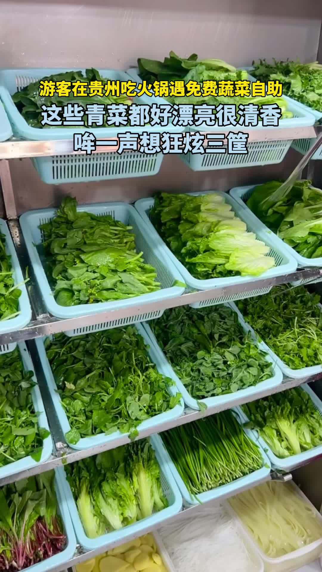 游客在贵州吃火锅遇免费蔬菜自助,好漂亮很清香,哞一声狂炫三筐 贵州 火锅
