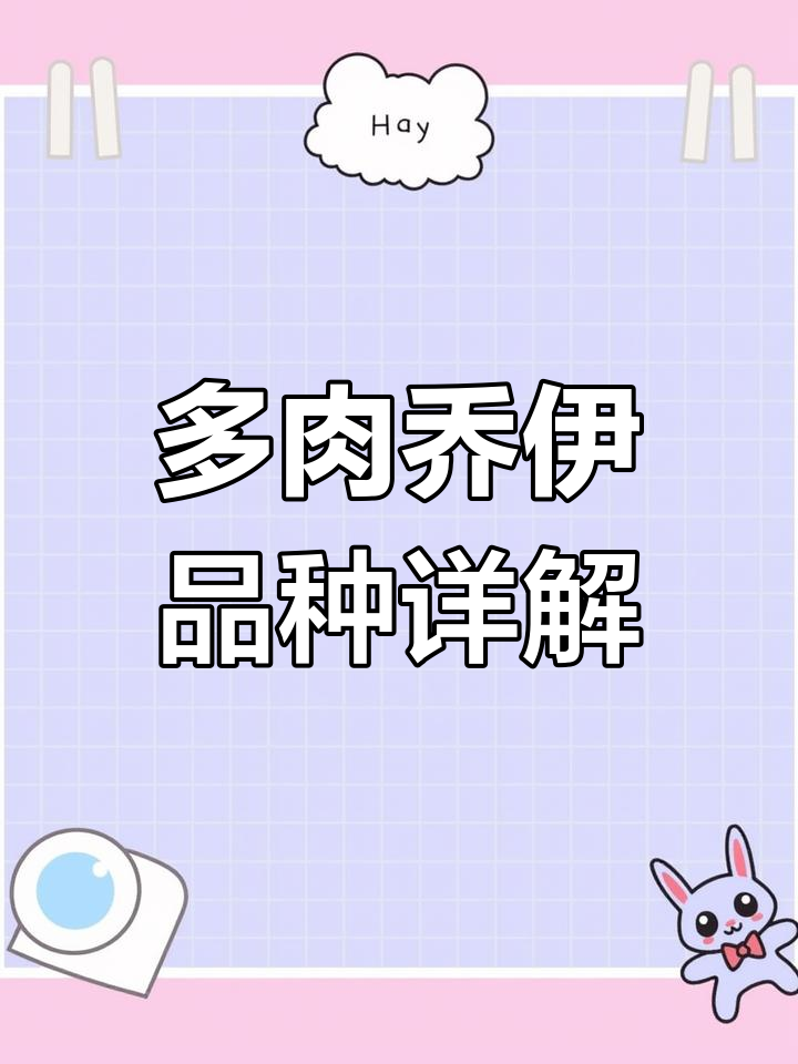 乔伊多肉品种介绍:从莲座到金黄色,养护技巧全解析