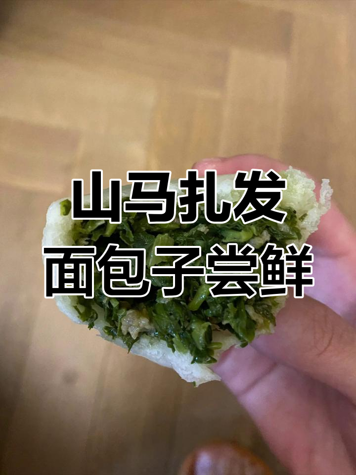 第一次挑战山马扎发面包子,味道超乎想象!