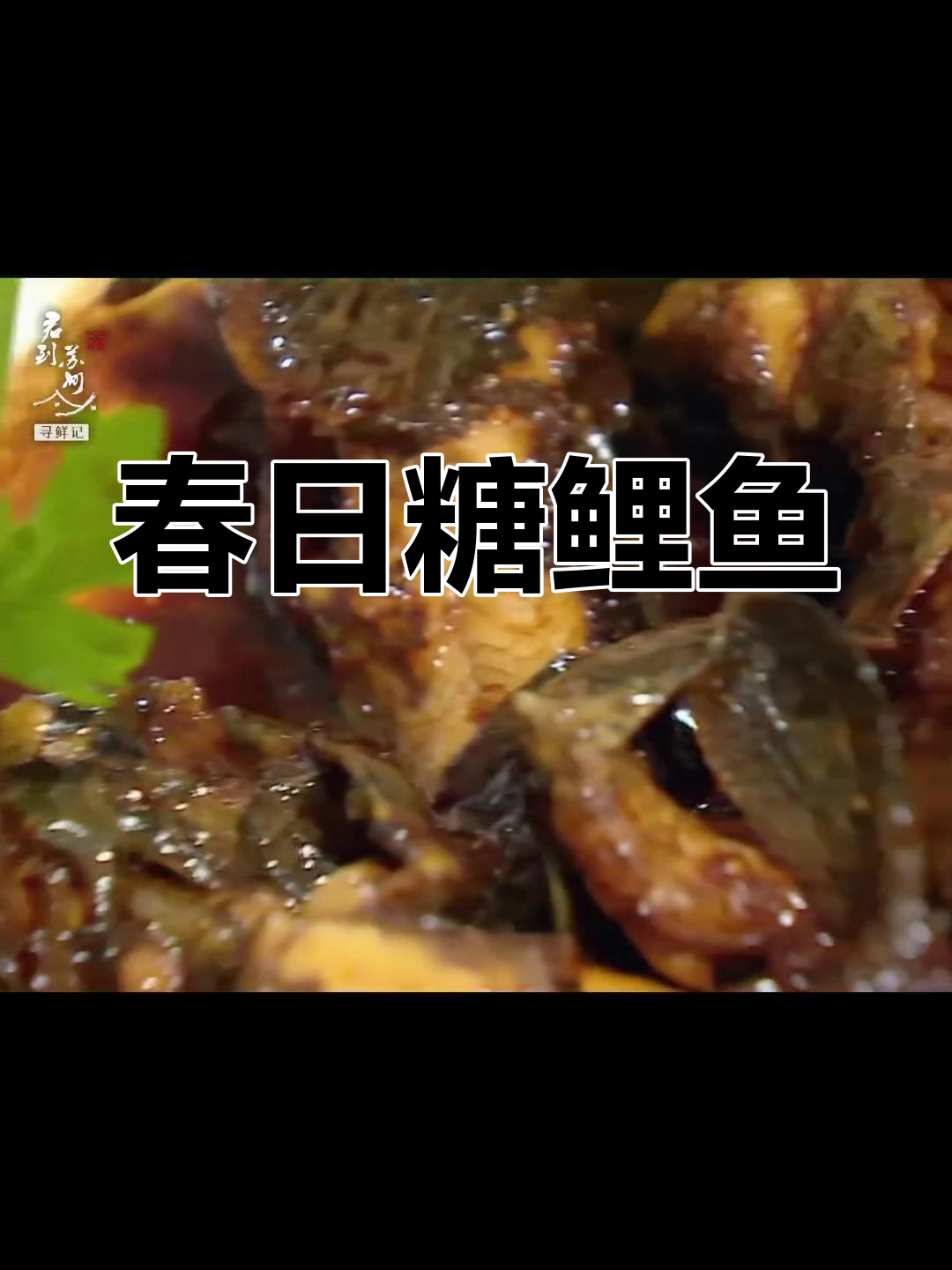 苏州春季必尝的塘鲤鱼