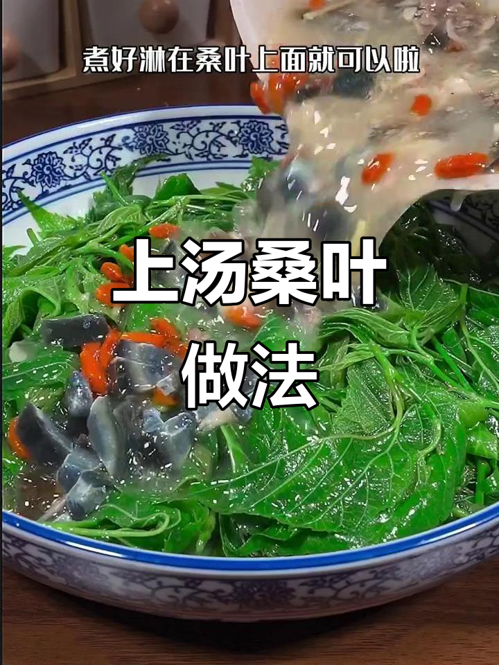 春天桑叶嫩滑,做个上汤桑叶超美味