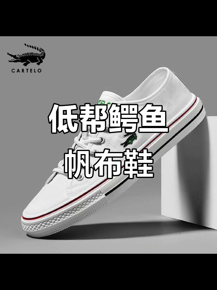 秋季新款鳄鱼帆布鞋，休闲男鞋百搭小白鞋，低帮潮鞋必备