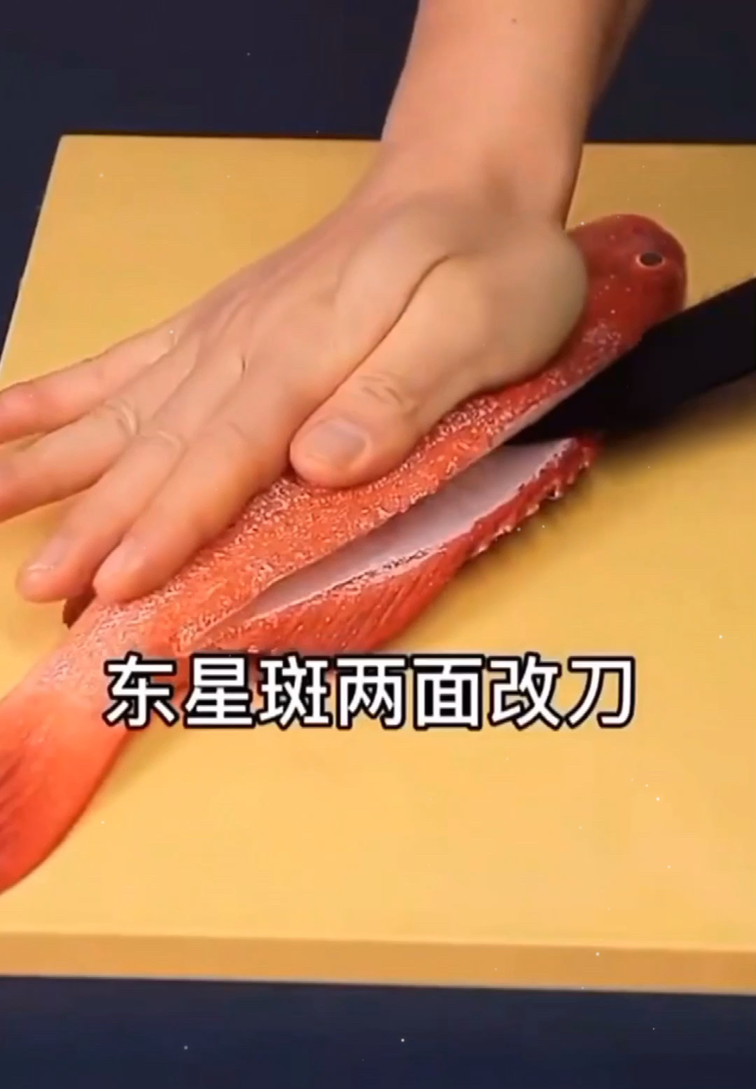 清蒸东星斑你学会了吗