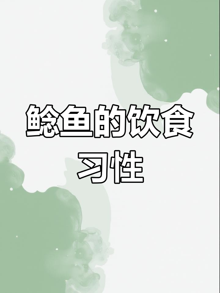 鲶鱼吃脏东西,还能吃吗?