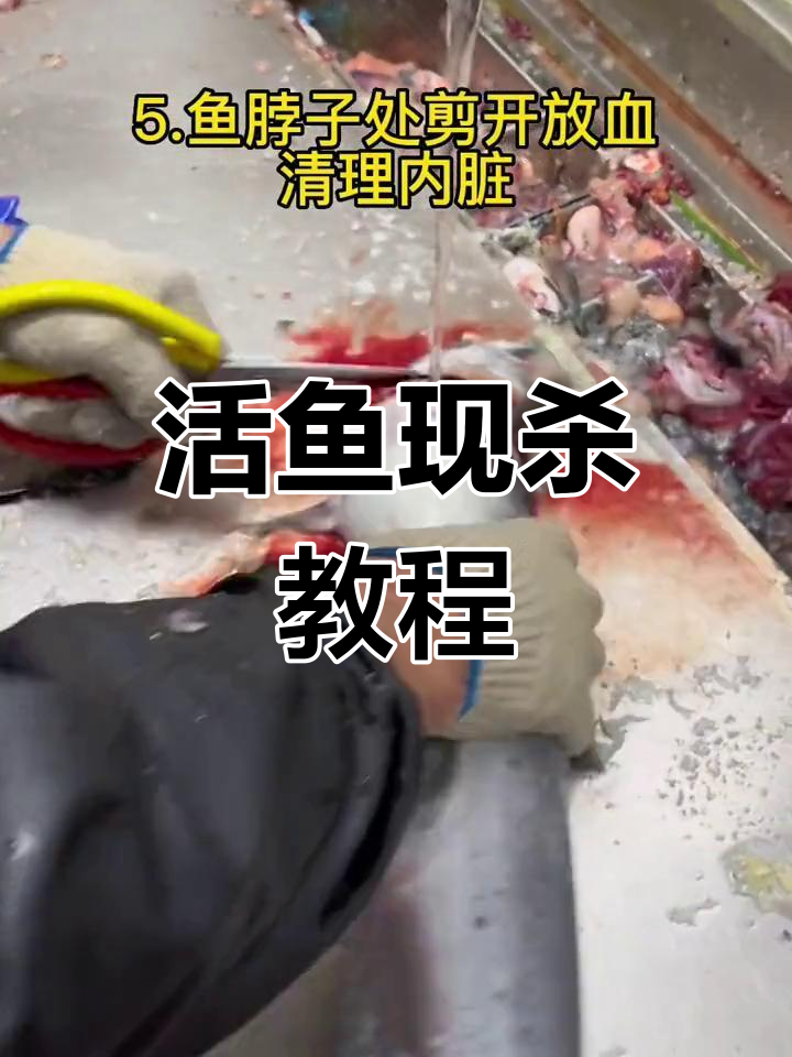 新鲜梭边鱼杀法全解