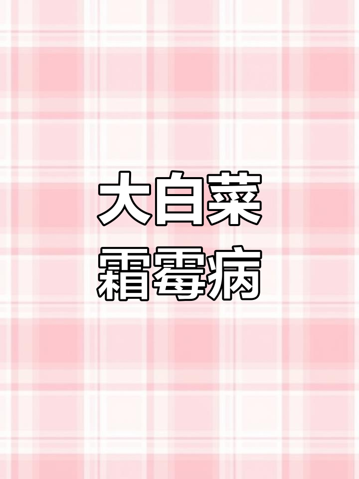 白菜霜霉病的症状与防治