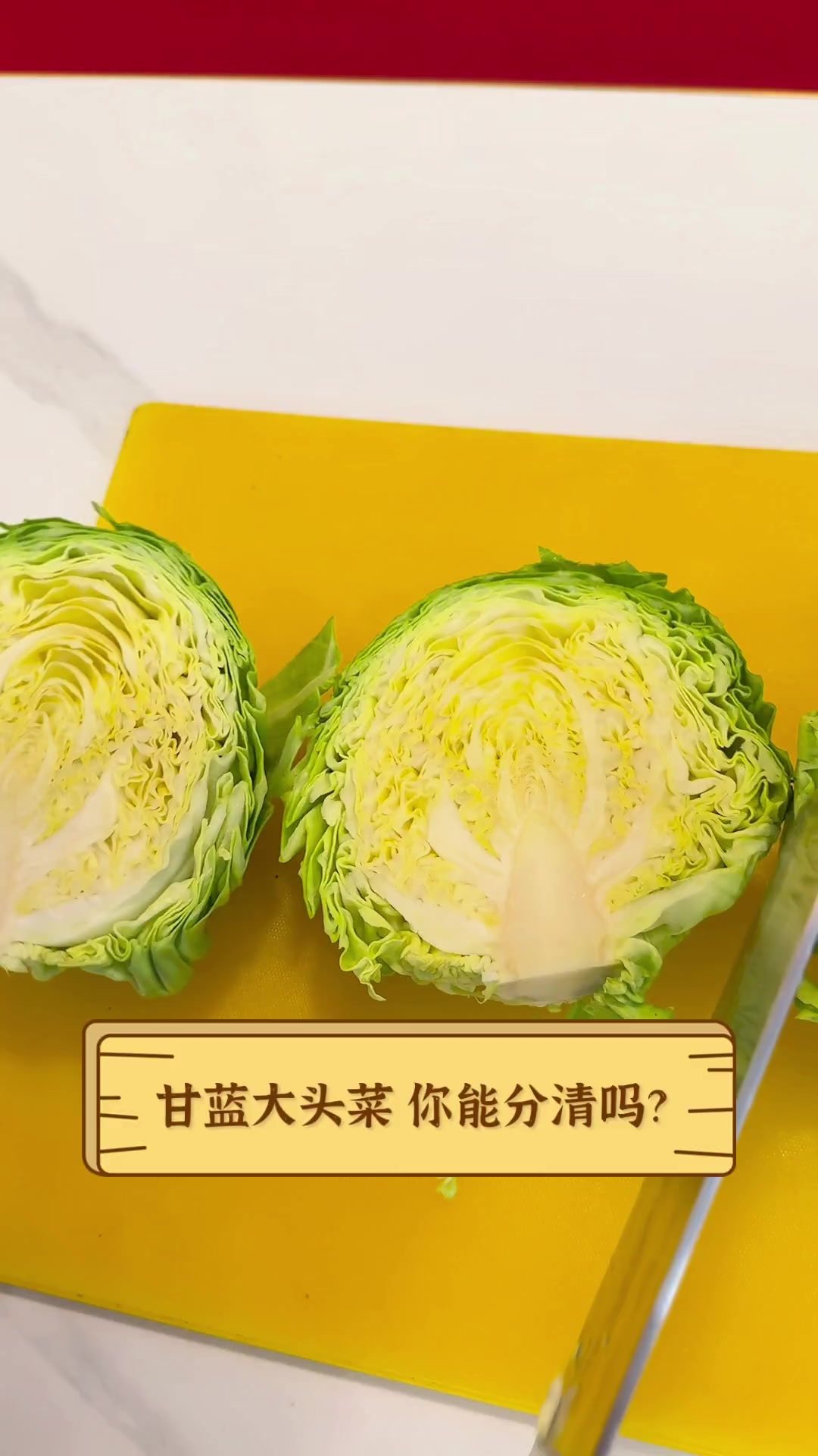 甘蓝大头菜,你能分清吗?