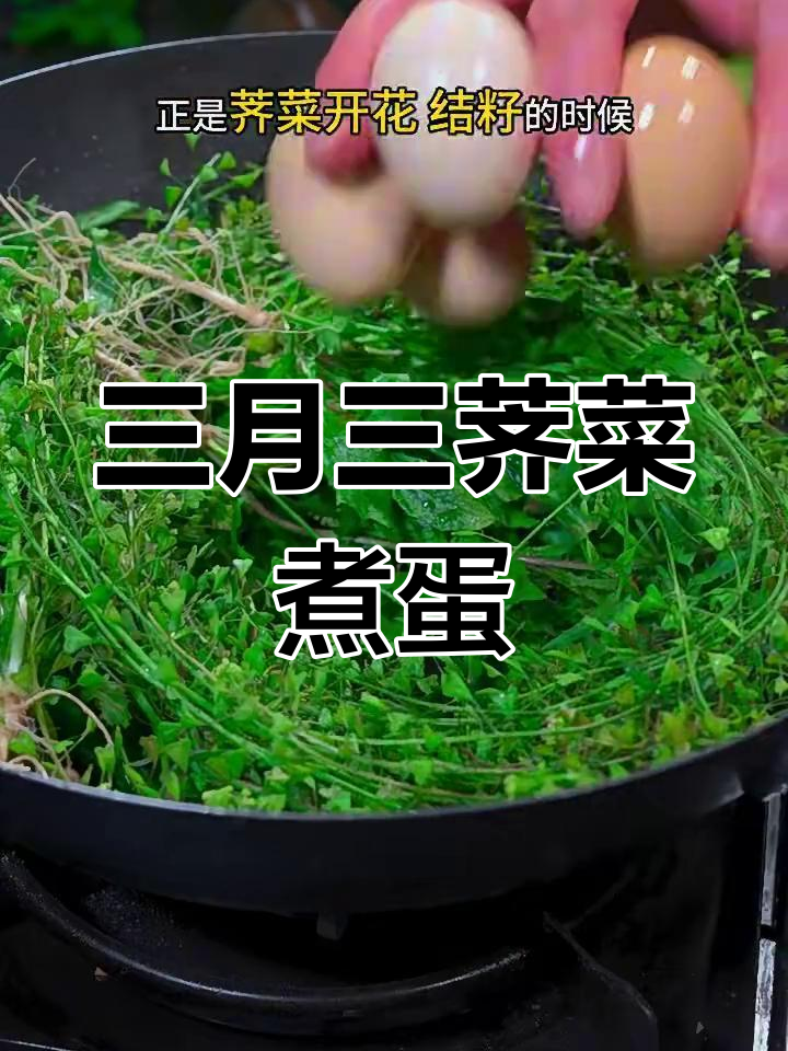 农历三月三,荠菜煮蛋驱寒又安神