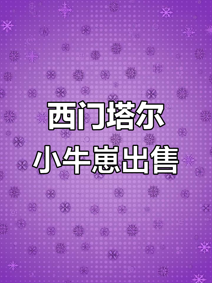 2023年西门塔尔牛肉牛犊,品质保障送上门