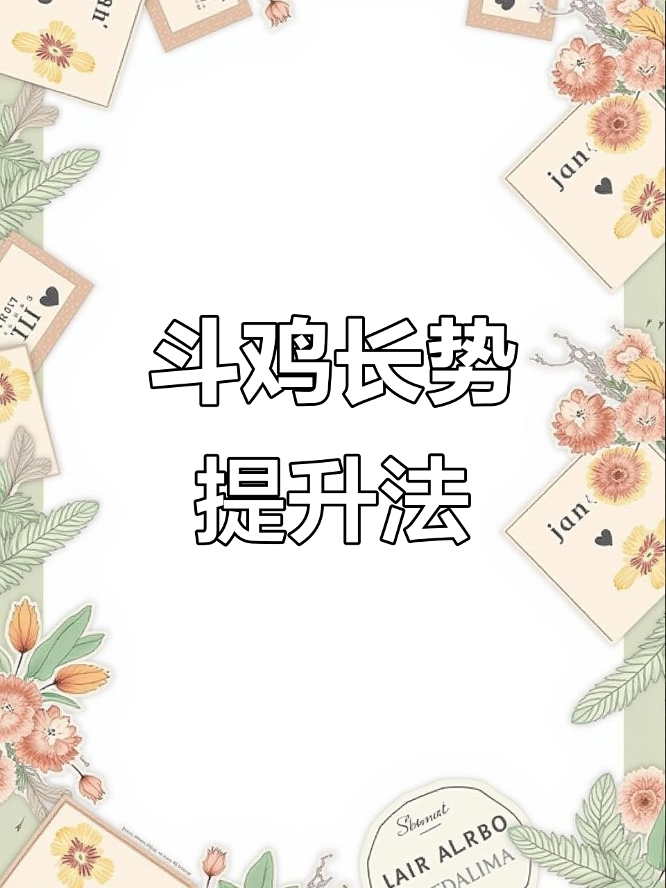 小斗鸡快速增重秘诀,饲料配方大公开