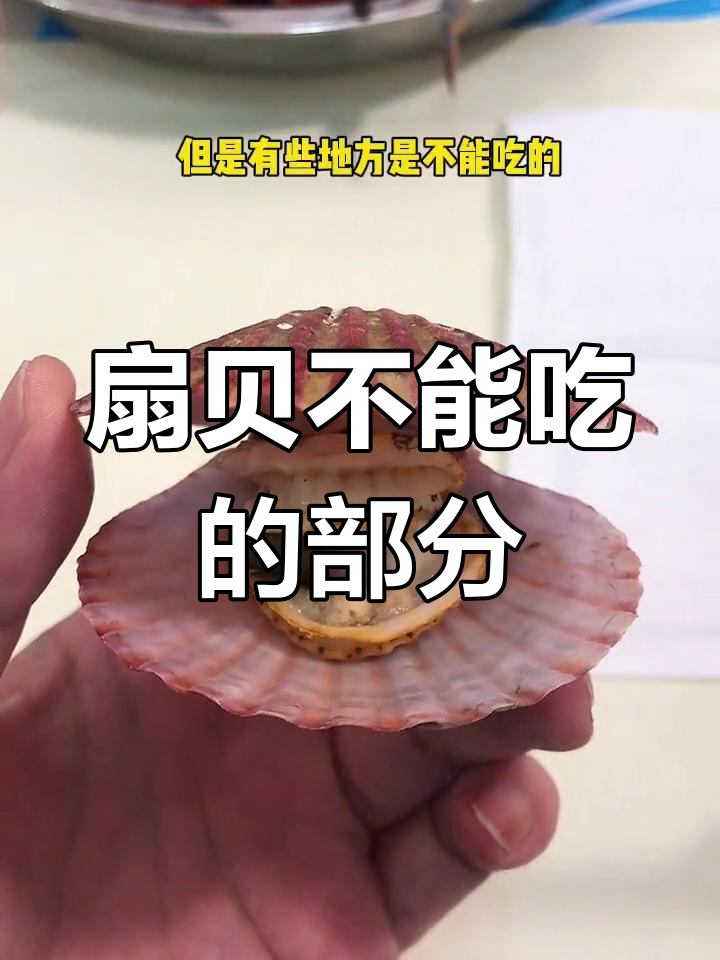 扇贝哪些部位不能吃?