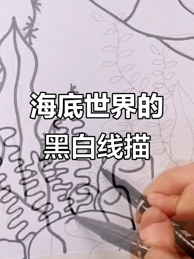 7-10岁海底世界黑白线描,锻炼线条造型与创意