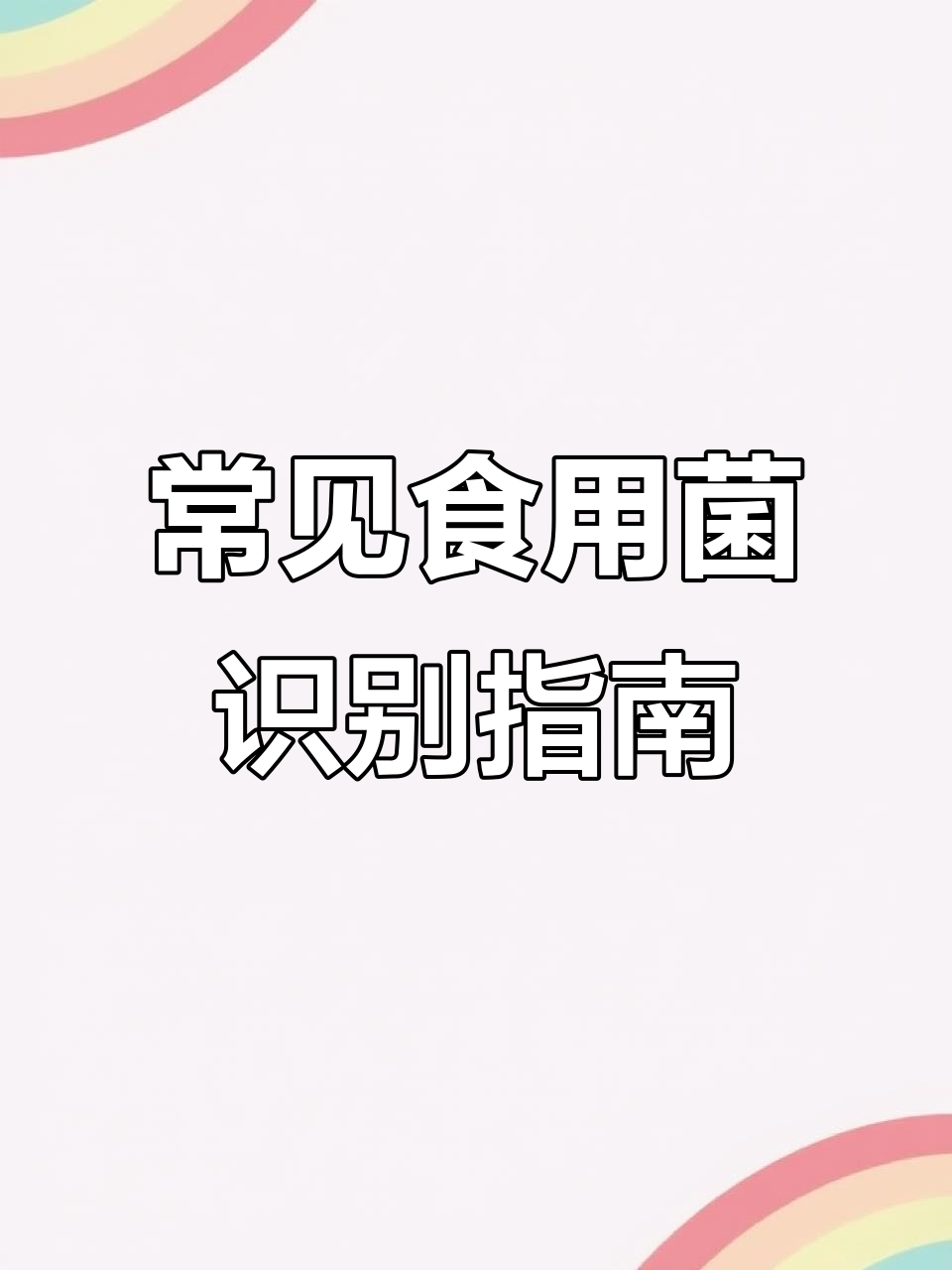 各种食用菌大揭秘,羊肚菌、松茸等如何区分