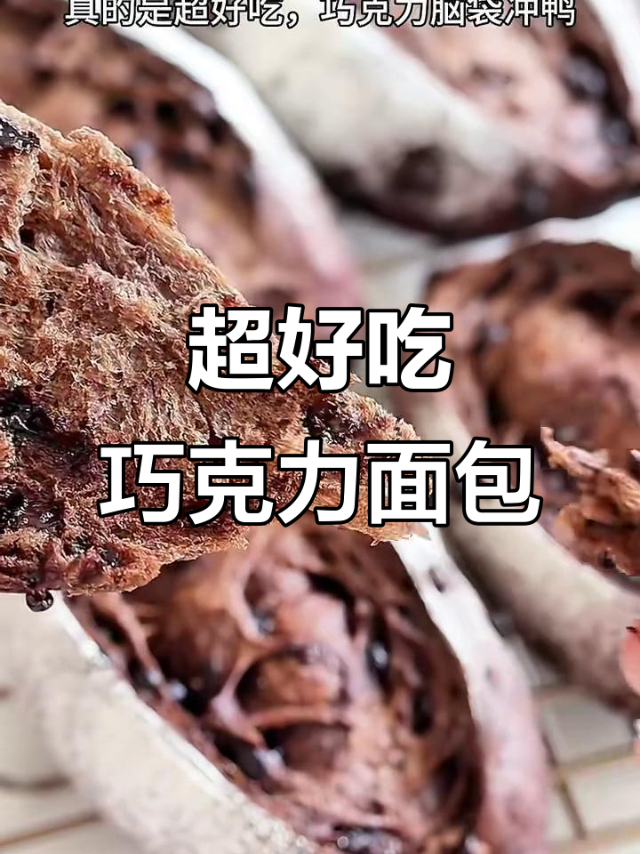 双重巧克力软欧,超浓香甜!新手也能轻松做