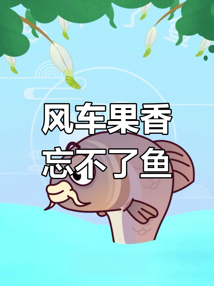 马来西亚忘不了鱼:风车果香的河流之王