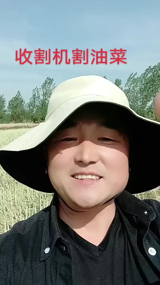 沉浸式观看收割机割油菜的震撼场景