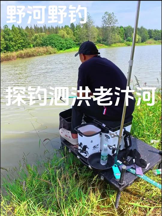 探钓泗洪老汴河,野河野钓 钓鱼 原来钓鱼才是抖音运动顶流 上热搜 原创视频 钓鱼王地狱猫