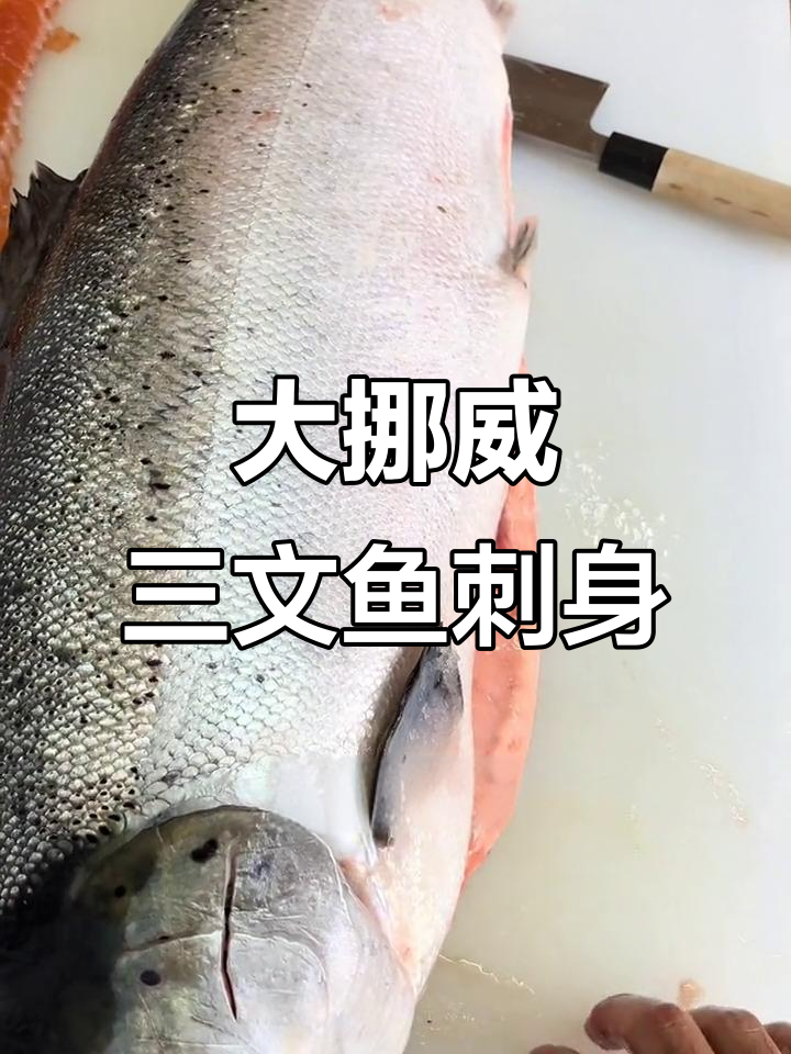 17斤超大挪威三文鱼，油脂丰富刺身超美味