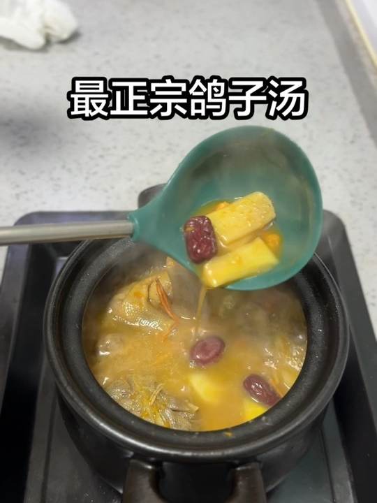 今天教大家最最正宗的鸽子汤雄鹰一样的鸽子