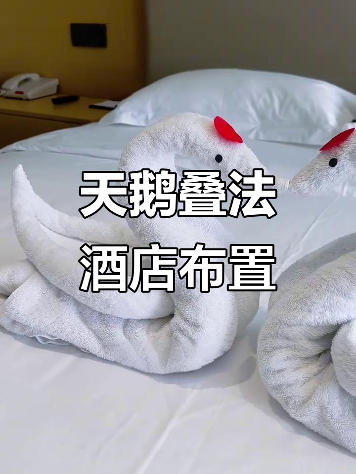 情侣房必备!天鹅叠法打造浪漫氛围