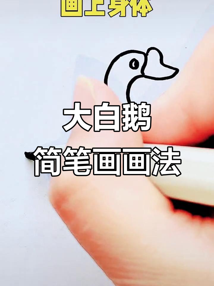 轻松学画大白鹅,S笔画法超简单
