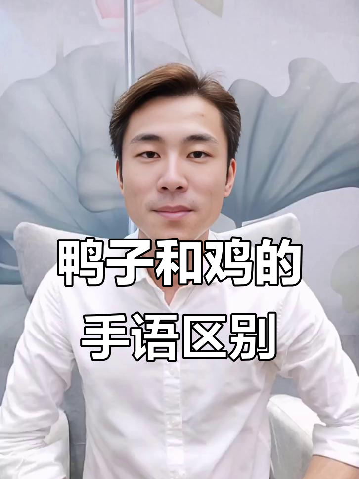 手语鸭子与鸡的区别,轻松学会!
