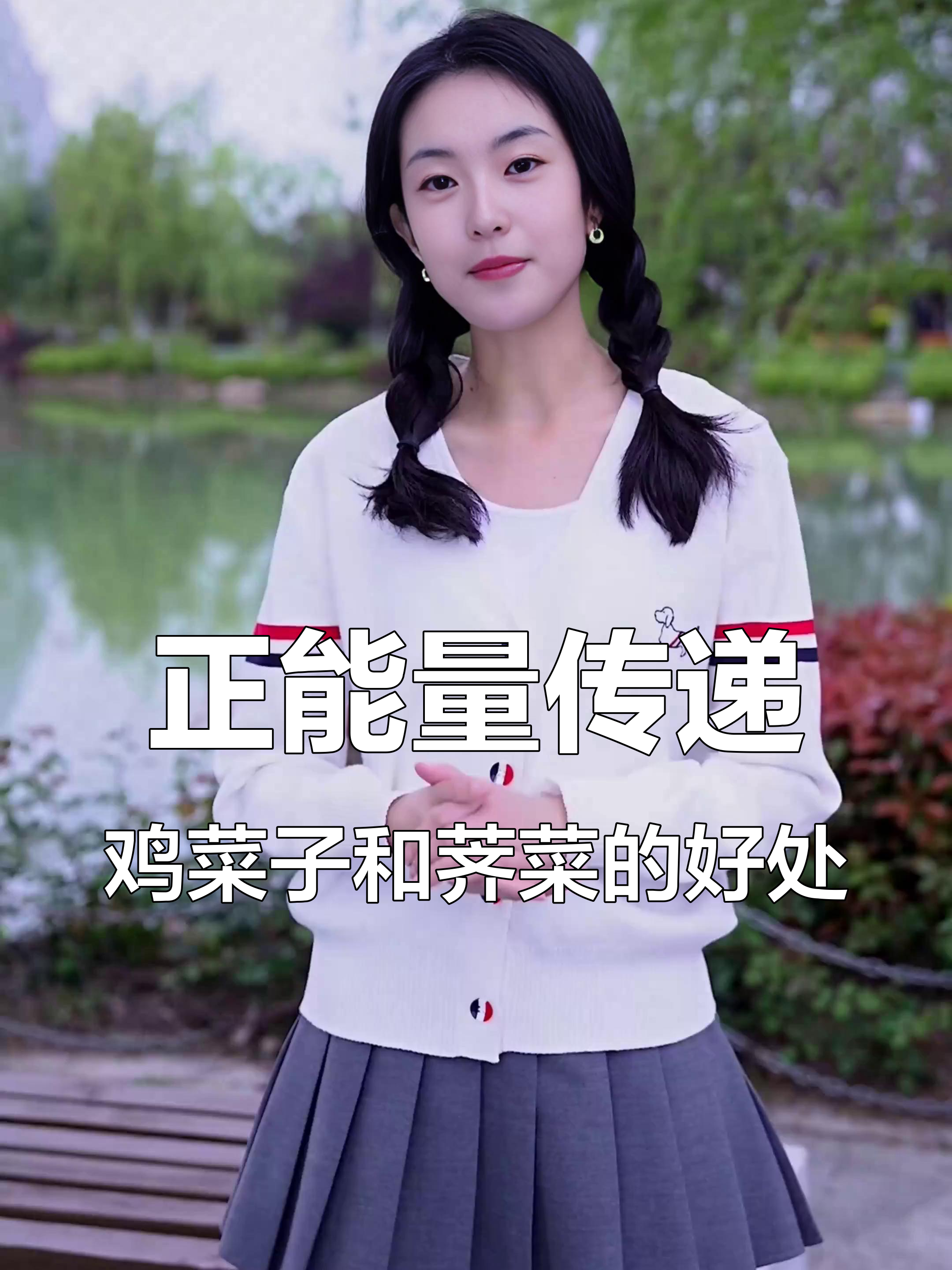 鸡菜子与荠菜的神奇作用,帮你缓解膝盖疼痛和头疼