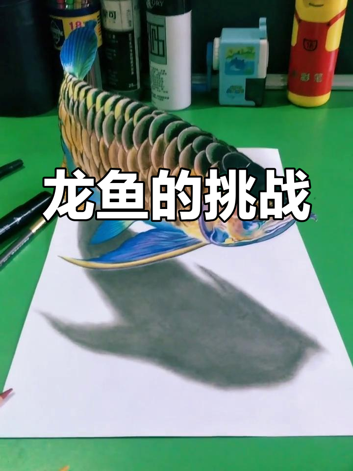 画龙鱼费尽心思,透视与造型挑战大,感谢支持!