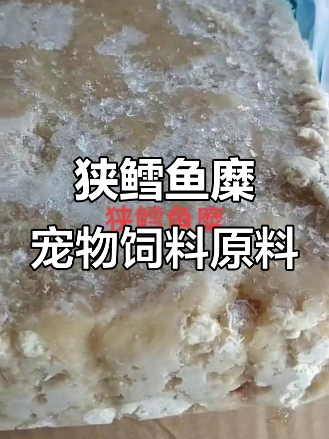 狭鳕鱼糜:宠物食品的优质原料