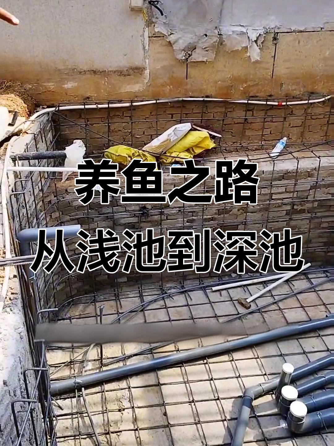 从外置滤到自建鱼池,养鱼的“坑”越挖越大