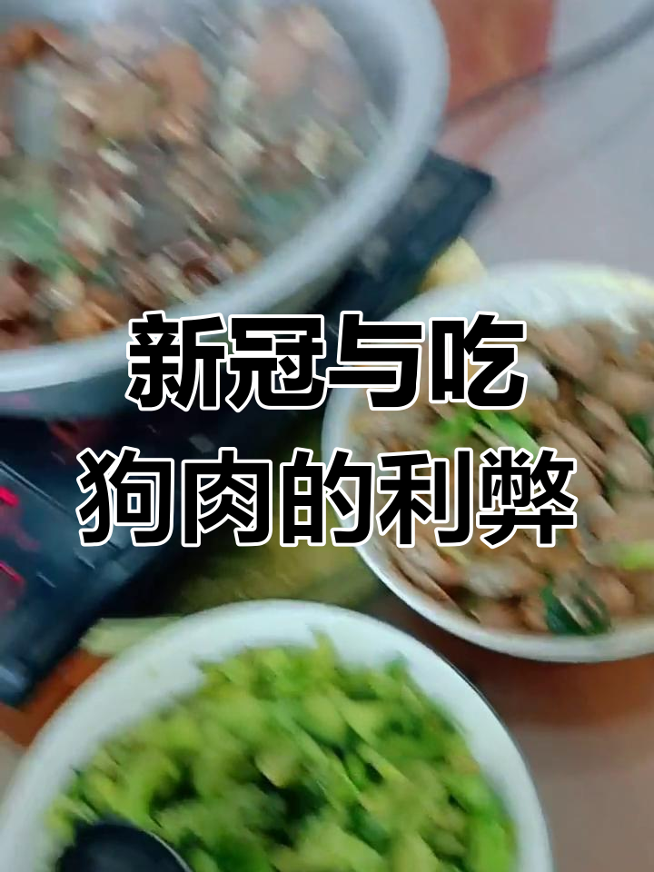 新冠期间能吃狗肉吗?