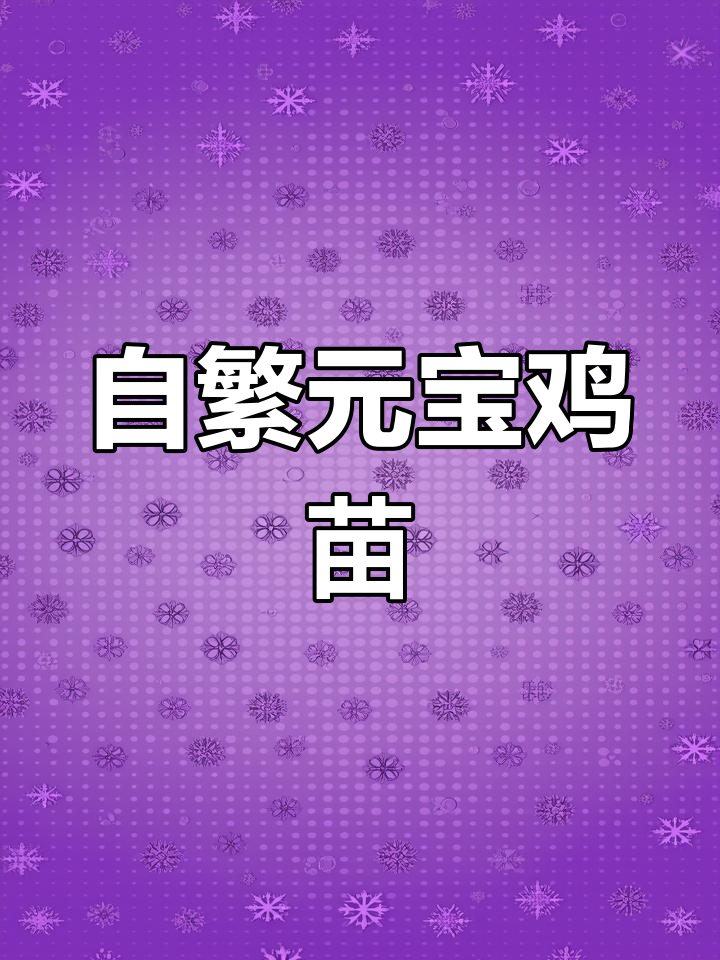 元宝鸡苗:自繁自养,全国发货,珍禽养殖新机遇