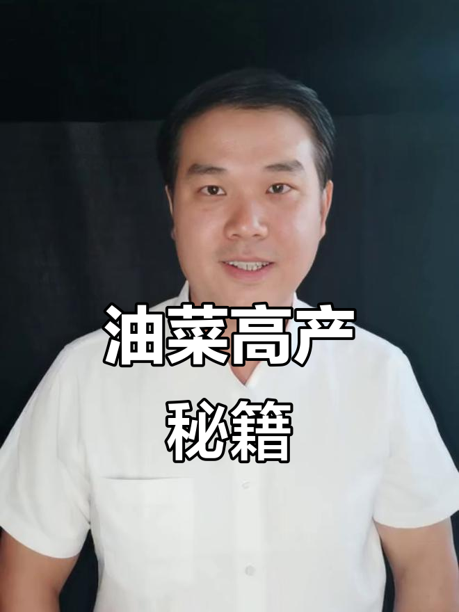 油菜增产秘诀:巧用配方让荚密籽粒饱满,效果惊人