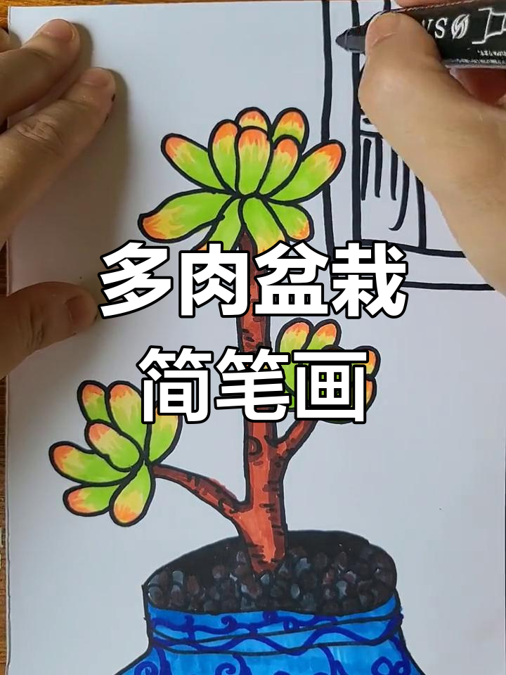 轻松学会画可爱多肉盆栽,步骤简单又有趣!