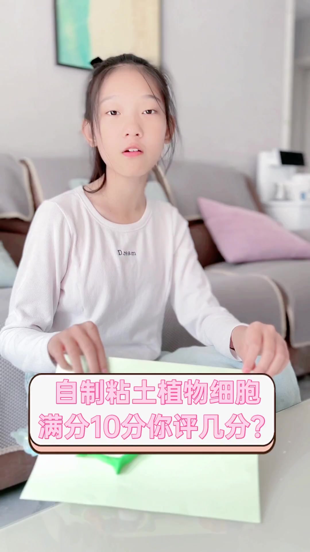 自制粘土植物细胞,满分10分你评几分?