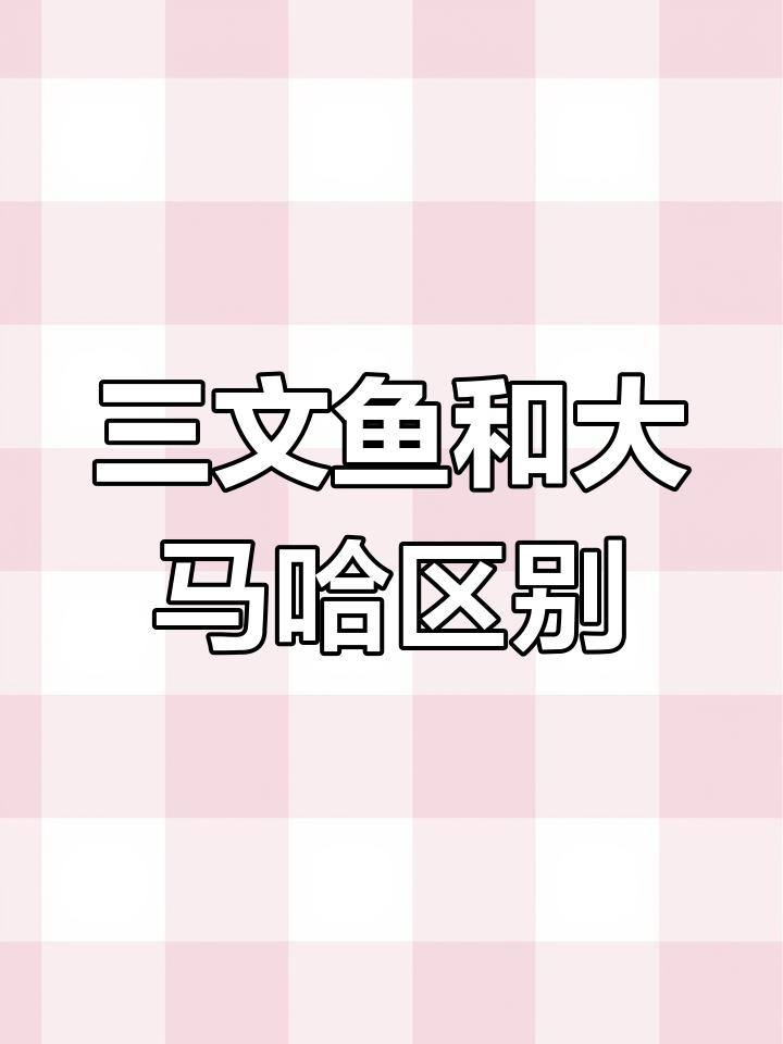 大马哈鱼和三文鱼的差别,你了解吗?