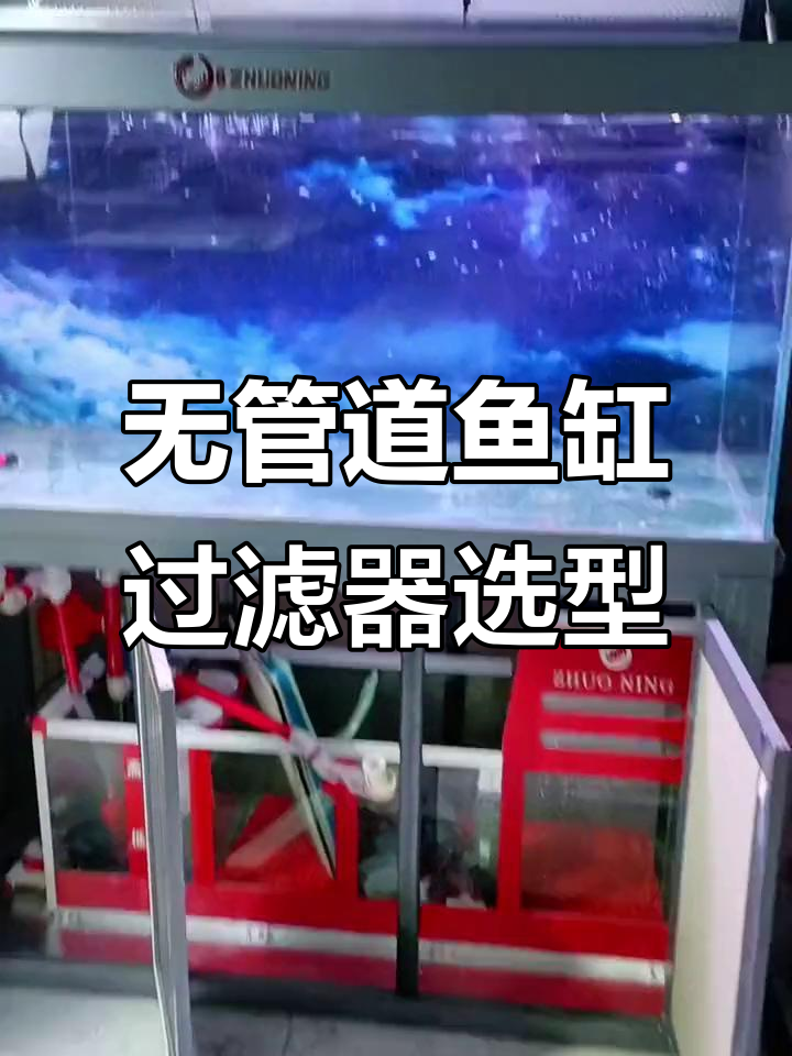 鱼缸过滤系统深度解析：如何选择最适合的静音无管道设计