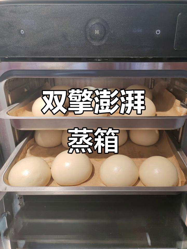 老板蒸箱双擎大蒸汽,馒头更鲜嫩