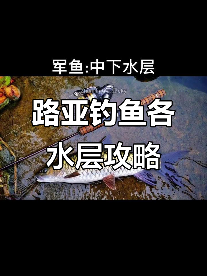 路亚钓不同水层对象鱼技巧解析